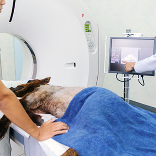 SCANNER PHILIPS – BRILLIANCE CT 16 SLICE (CANIN/EQUIN)