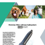 FAS ECHOSTART cover