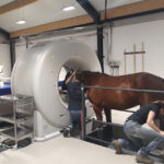 CT Scanner Equin